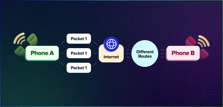 voice over internet protocal software